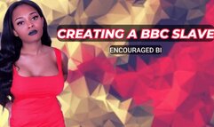 Creating a BBC Slave