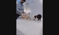 GG87-A white-stockinged Asian girl is bound by wooden shackles.