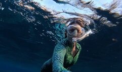 Carissa in Underwater topless in Aliigator dive skin in the spring part one