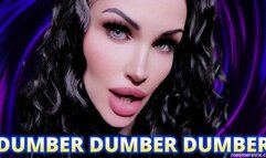 DUMBER DUMBER DUMBER