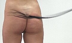 Kate ass whip - 1302