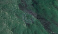 BNWO - The Talk - ASMR