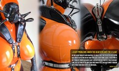 Luxury Problems: When the Gear Screams for a Slave