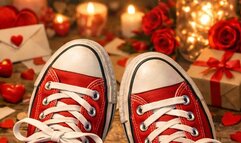 LACED FOR YOU. Valentines Sneaker POV Story. Digital book