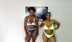 Catfight Rematch Zippy vs Shah