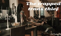 THE TRAPPED TRANS THIEF