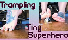 Tiny Superhero Crushed Under My Feet
