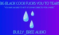 Big Black Cock Fucks You To Tears Audio