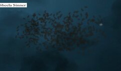 SHEELA SINNER - JERK OFF HUMILATION CUM EATING INSTRUCTION