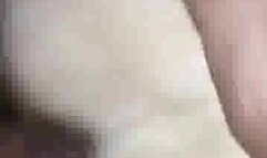 You can watch while his big black cock makes me cum