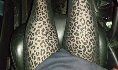 Sarah - Evening Car Struggle In Public Parking Lot