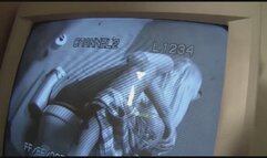 Riley Surprised By Big Dick Poking Through The Bathroom Wall And She Sucks It Till he Cums! mp4