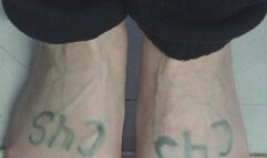 BLOND HARDWOOD FLOOR ROOM SEPERATAR