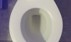 I PEE GOLD IN MY TOILET I WISH FOR LOTS OF MONEY