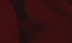 T4T anal (mtf x mtf)