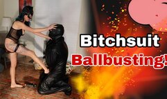 Bitchsuit Ballbusting