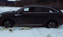 Dixie Return: Dressed for a warm sunny day, Dixie Returns to the True North Trap to search for her Sun Glasses that she lost.