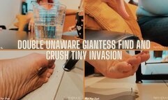 Unaware Giantess Crush tinies like little bugs