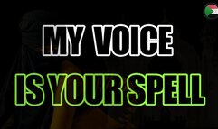 MY VOICE IS YOUR SPELL