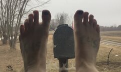 ITZ MAILBOX FLAG UP 2DAY CHILLY WEATHER... I DRIVE MY CAR UP THE LANEWAY & BACK TO CHECK WITHOUT GETTING A COLD