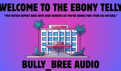 Welcome To The Ebony Telly CUSTOM Audio