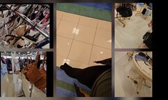 ASMRING Bra Safari March Edition with New Bra Finds and A Sneeze