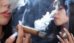 Beautiful Woman Smoking a Cigar