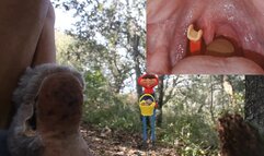 Big bad wolf vores shrunken riding hood