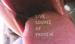 Live Source of Protein -- Ms Bagheera