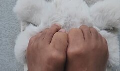Fluffy Slippers feet, Feet in Nature, toes, Wrinkled bottoms