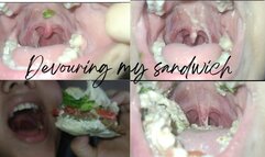 devouring my sandwich