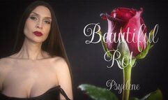 Beautiful Rot