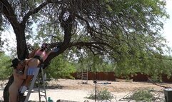 Interrupt Kitty's yardwork with fingering, a handjob and cum! On a ladder!