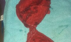 Cumshot on my Unaware Wife's Underwear #02