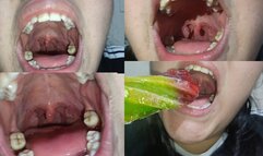 Vore (eating my sweet lollipop)