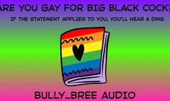 Are You Gay For BBC? Audio