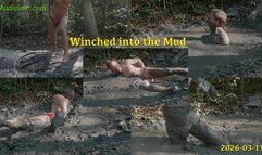 Winched into the Mud, 2026-03-11