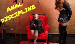ANAL DISCIPLINE