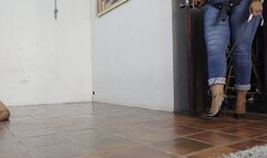 Whipped to shreds by the Amazon BBW Goddess Balbina