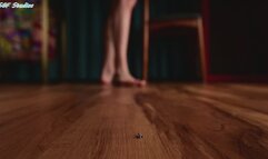 Silver Fox shadowy unaware crush! - MP4