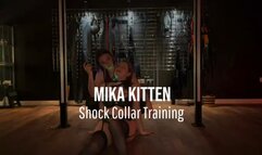 Shock Collar Training