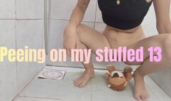 Peeing on my stuffed 13