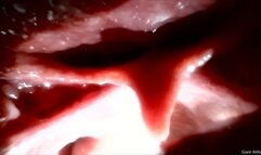 Stuck inside me Male gummy vore