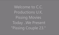 Pissing Couple 23 Day Out At The Beach