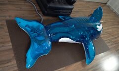 Sonya experiments with a vibrator inside an inflatable orca whale part 1