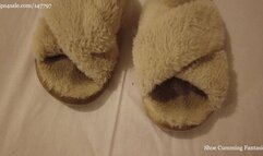 Clip #55 Slipper Stench Submission (HD - MP4 Version)