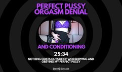Perfect Pusy Orgasm Denial and Conditioning