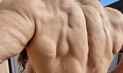 FBB VIDEO MIX MASSIVE RIPOOED BACK GRUNTING AGRESSIVE RIPPED TESTO TIME GRUNTING ANGRY FOR HUNDRY TRAPS BACK LATS PECS HANDS CHALLANGES FEATS OF STRENGTH MIX OF VIDEOS RIPPED SHAPE