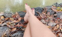 Very pronounced arches on the river bank (3)