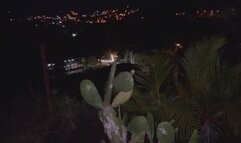 BJ in the middle of the night in public